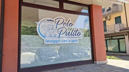 Vetrina del salone Pelo Pulito con logo e bolle in pellicola adesiva