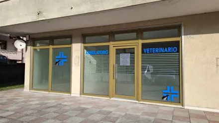 Vetrate di un ambulatorio veterinario con croci blu adesive e pellicola satinata